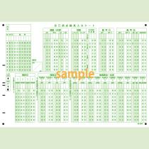 【在庫限り廃番】【旧課程対応】SN-0545　自己採点結果入力シート