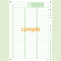 SN-0429　A4縦定形フォーマットシート年クラス番号60問(横書き)