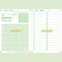 SN-0494　A4縦マーク定形フォーマットシート100問5択番号30問(横書き)