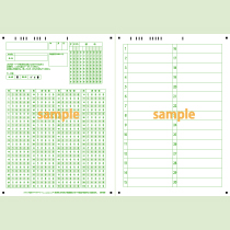 SN-0495　A4縦マーク定形フォーマットシート100問5択年クラス番号30問(横書き)