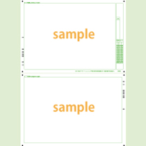 SN-0499　B4横両面フリーフォーマットシート年クラス番号