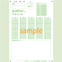 SN-0631　B4縦マーク記述混在シート100問5択年クラス番号
