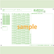 SN-0633　B4横マーク記述混在シート100問5択年クラス番号