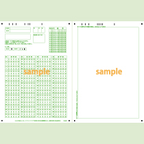 SN-0651　A4縦マーク記述混在シート100問5択カタカナ年クラス番号