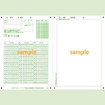 SN-0653　A4縦マーク記述混在シート60問10択カタカナ年クラス番号